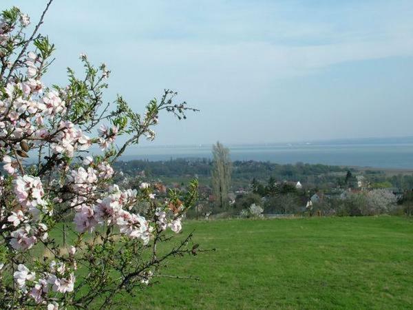 Mandel Apartment Paloznak Dış mekan fotoğraf